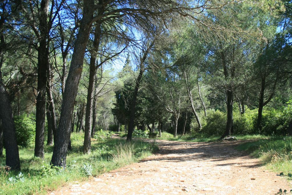 Chambres D'Hotes Le Puid De Gauthier Saturargues Exteriér fotografie